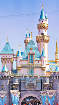 practicallydisney:  The Castles of Disney Parks 1. Disneyland, 1955 2. Walt Disney World, 1971 3. Disneyland Tokyo, 1983 4. Disneyland Paris, 1992 5. Disneyland Hong Kong, 2005 6. Disneyland Shanghai, 2015