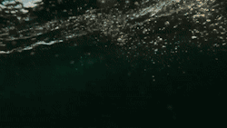 sixpenceee:  I found this gif of diving into the sea is both majestic and unnerving.  