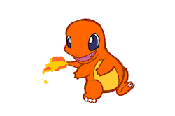 charizard:  joshunf:  if a charmander running in circles chasing its tail doesnt fit your blog then you are running the wrong kind of blog  god i hate when people leak my baby pictures 
