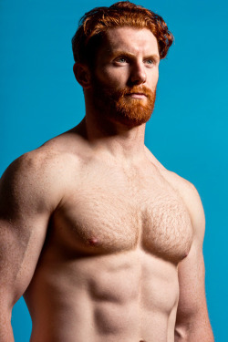 for-redheads:  RED HOT BEARDS! Photographic exhibition of gingers from all walks of life ~ by Thomas Knights 