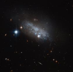 spacetimewithstuartgary:  Hubble spotlight on irregular galaxy IC 3583   This delicate blue group of stars – actually an irregular galaxy named IC 3583 – sits some 30 million light-years away in the constellation of Virgo (The Virgin).  It may seem