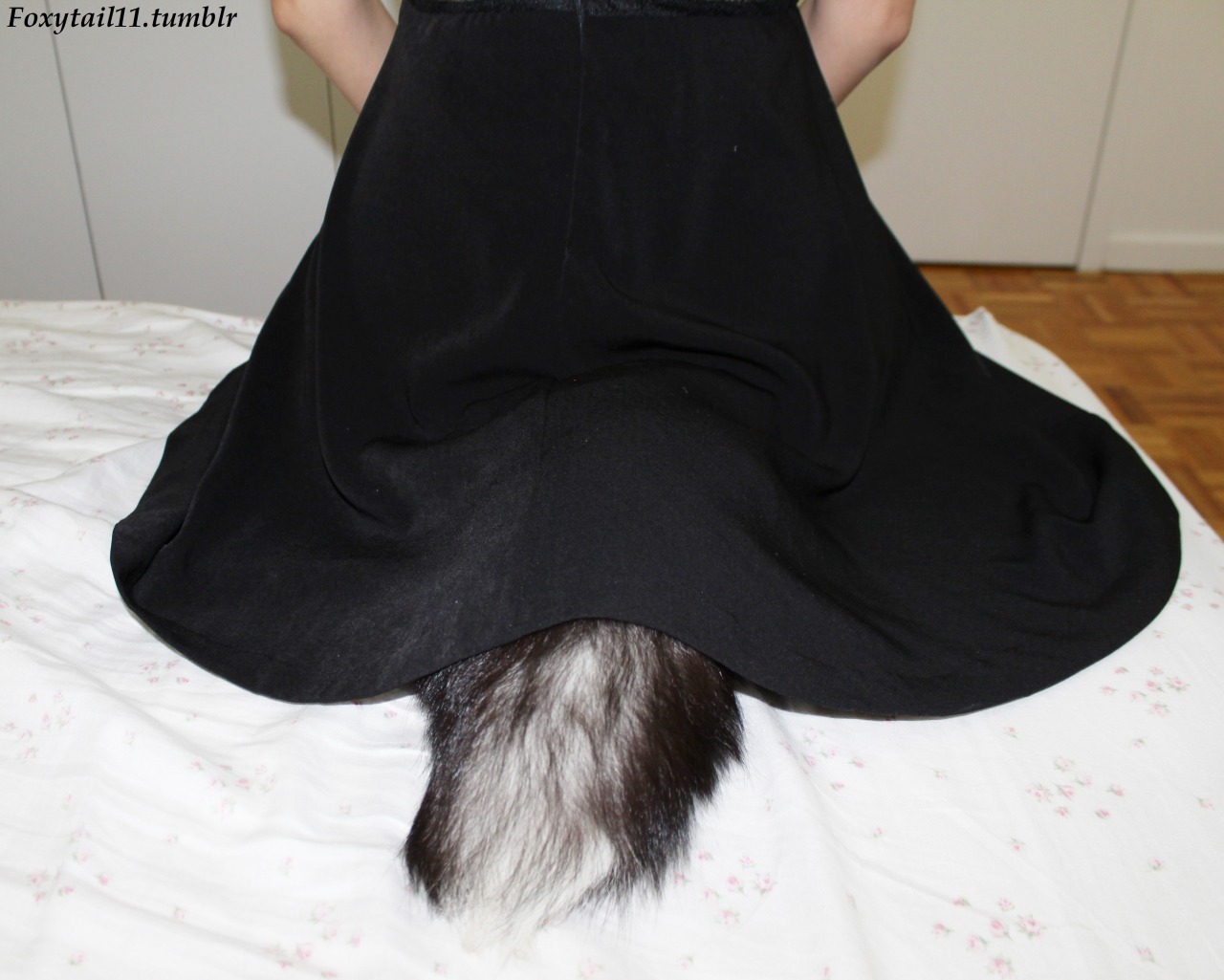 foxytail11:  My fox tail peeping out of my dress hehe.  It was a fun night at the