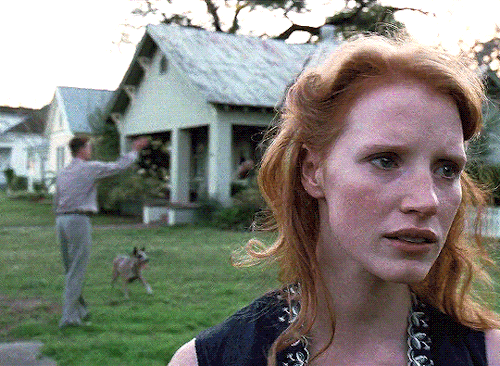 boydswan:Grace doesn’t try to please itself. Accepts being slighted, forgotten, disliked. Accepts insults and injuries. […] They taught us that no one who loves the way of grace ever comes to a bad end.THE TREE OF LIFE (2011)  dir. Terrence Malick