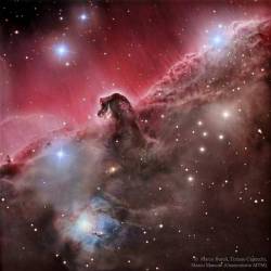 The Magnificent Horsehead Nebula #nasa #apod #horseheadnebula #barnard33 #stellarwinds #radiation #dust #orioncloudcomplex #ic434 #emissionnebula #ngc2023 #reflectionnebula #interstellar #universe #milkyway #space #science #astronomy