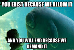 oddments-and-curiosities:  onecenturion:  I was hoping for a funny ending  Stupid sea cow. 