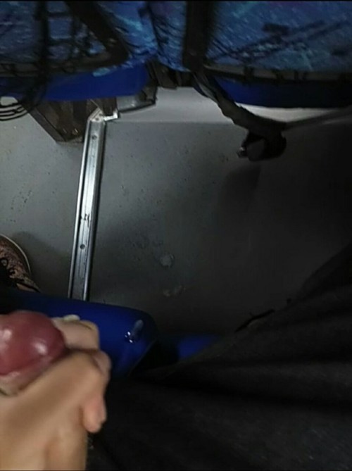 fdgbfgfun:  First time cum on a bus, and porn pictures