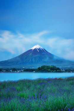 blackinallday:  imalikshake:  Mt.Fuji with