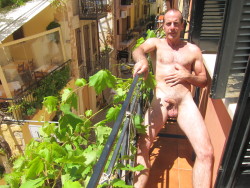 rickyd123:  Hotel Balcony in Chania, Crete   And what room is he in?