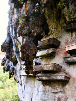 Mysterious Hanging Coffins of China. Wuyi Mountain, Fujian Province. Hanging coffins is an ancient funeral custom found only in Asia. Some coffins are cantilevered out on wooden stakes while some lay on rock projections. The Wuyi Mountain coffins are