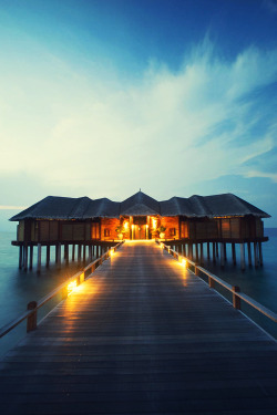 imposingtrends:  Maldive Sunset | ImposingTrends | Facebook | Instagram