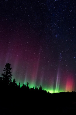 plasmatics-life:  Aurora at Split Rock by