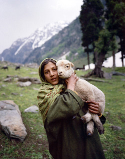 the-great-indian-adventure:  Kashmiri Girl with Lamb Mamiya 7, Kodak Portra, iso 100 ©MHP 2014 Finally I have had enough time to get my films developed from the last few months of travelling. I realise now that I was so spoilt having the facilities at
