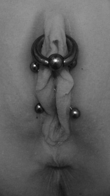 pussymodsgalore:  pussymodsgalore  A clithood piercing with good sized ring, I think it is a Triangle piercing which actually goes under the clit. Also four Inner Labia piercings with crossed barbells. An interesting Chastity Piercing?  
