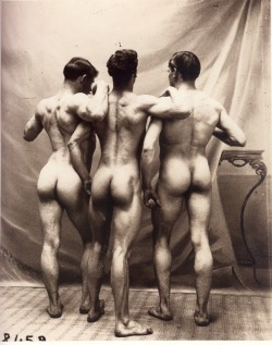 antique-erotic:  ggwookie:  Muscular trio, photographed around 1900. Source: antique-erotic, specifically here.  I had always intended to arrange these six photographs as a set once I had posted them all singly, now I need not take the trouble as someone