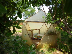 growthemedicine:  Geodesic drying dome (the top triangular panel folds down to complete the structure) - my favourite part of the permaculture centre. I’m definitely going to build my own when I have more space to work with. 