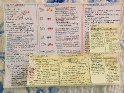 mystudystation:8th April ~ 13:06  Finally finished all science note sheets! That’s C1, C2, C3 and P1, P2 and P3 (in order above) all on a single page each - and just in time for some lunch. I’ll go back and underline keywords etc to make them a bit