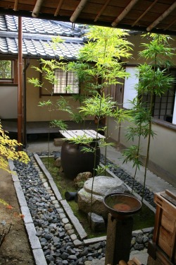 my-nameisyuri:Tsuboniwa - Japanese courtyard garden by kashii_gannyuu