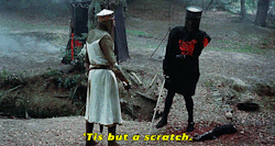 hotsytotsy:  drawings-on-bodies:  ryzcoo:  What movie is this??  MONTY PYTHON AND THE HOLY GRAIL  I have this shirt!