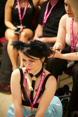 bambi-belle: @denali-winter fixing my hair before the petshow…i love it when they touch my hair!
