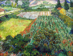 Dappledwithshadow:  Field With Poppies, Vincent Van Gogh 1889 