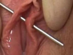 pussymodsgalore  Both inner labia with one needle. Next come the rings. Piercing both at once with the same needle having carefully aligned the labia could be a good way of seeing that they are level horizontally, even though the way the needle is laying