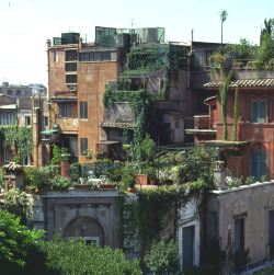 enochliew:  Roof Gardens in Rome 