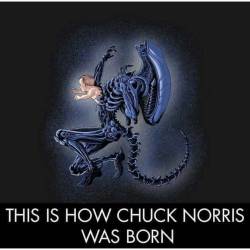 Well I don&rsquo;t think I can offend anyone with this post! I give you the birth of Chuck Norris! #chucknorris #xenomorph #birth #epic #alien