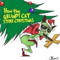 #truth ! #christmas #grumpycat #grinch #lights #xmas #swag #yolo #cat #kitten #kitty #winning