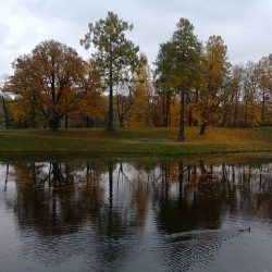 #Autumn #reflections / #Gatchina #imperial #park #photowalk #Oktober