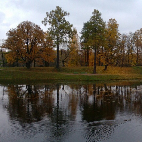 Porn Pics #Autumn #reflections / #Gatchina #imperial