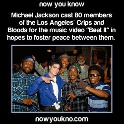 nowyoukno:  Michael Jackson facts to commemorate the 6 year anniversary of his passing. Rest In Power, King of Pop! Your legacy lives on forever.