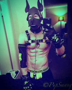 pupsmaug:  🐾🐶Alpha Pup is out *Wruff!*🐶🐾 #cellblock13 #mrsleather #pup #abs #gay #sixpack #kinkygay #bondage #pupplay 