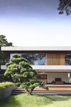 mistergoodlife:  65BTP House by ONG&ONG 