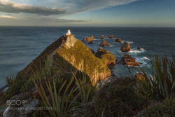 connor-burrows:  Nugget Point by _Mani