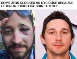 veryangryfeminist:  grampasimpson:  some dude got decked for looking like shia labeouf  and so shia labeouf sent him the best voicemail of all time  he’d come bring the man soup I fucking love him 