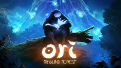 Okay so after a lot of thought i decided on a kind of contest that would be both fair to all my followers and helpful to my blog. But first I should mention a few things.First off, if you don’t know abut Ori and the Blind Forest check it out HERE.Second,