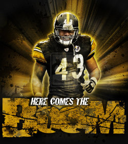 nflpuppet:  Here Comes The Boom: Troy Polamalu