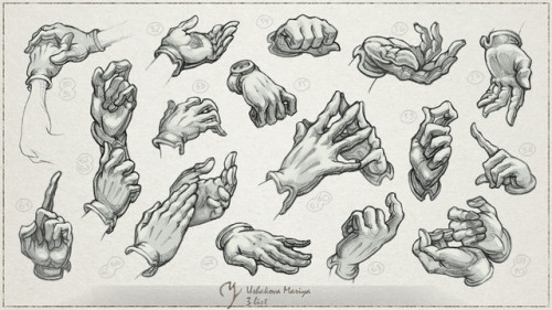 drawingden:Hand Studies by Maria Ushakova