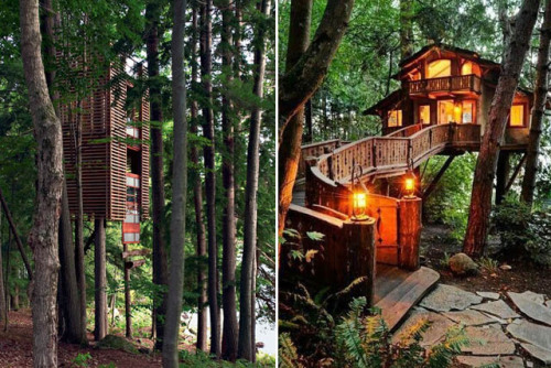 left0vercrack:  I can’t stop laughing. Sorry guys. Bottom left is a Spirit house. Not a tree house. It’s a tiny tiny thing. Which i guess makes it gr8. but yeah