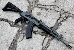 gunsknivesgear:  Arsenal SGL. I see firearms
