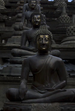 buddhabe:   Buddha, Sri Lankan Temple  