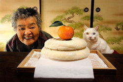 coolfatcat:   &ldquo;For the last 13 years Japanese photographer Miyoko Ihara has been taking pictures of her grandma, Misao, to commemorate her life. 9 years ago, 88-year-old Misao found a stray odd-eyed cat in her shed: she called it Fukumaru, hoping