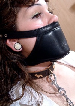 sensualhumiliation:  Severely forced to be silent and collared like a wild dog… 