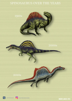 vaspider: anachronic-cobra:  carry-on-my-wayward-butt:  the-bookie-monster:  anaisnein:  earlgraytay:  mariolanzas:  DINOSAURS OVER THE YEARS This is a series of posters I made to show how our perception of Dinosaurs and other animals of the mesozoic