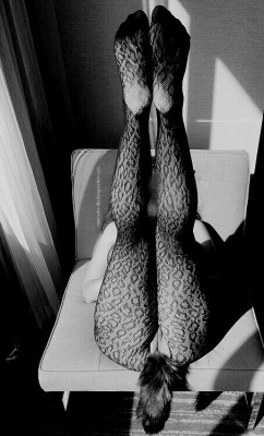 marriedandfucking:   We are declaring today “Foxy Friday” (wink, wink, see what I did there?) with some black and white highlight pics from the Black Animal Print Bodystocking / Fox Tail Plug Series.  