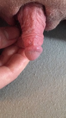 amazing clit, well formed head
