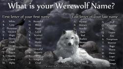 clarinetfool:  animatedcosplayer:carryonmy-assbutt:  tennant-salad:  kitchikishangout:  MY NAME, IS FRICKIN MOON MOON. I’D BE THE MOST IDIOTIC WOLF. ‘OH SHIT WHO BROUGHT FUCKING MOON MOON ALONG?’  the post that started it all  oh god  Never not
