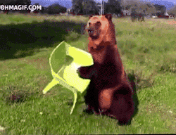 oh-thank-cheesecake:  sacktorraptor:  christhecreep:  how the fuck does that chair hold its weight   BEARS, MINDY  That bear is so done with your shit