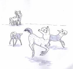 El Problema Con Los Centauros Es Que Las Crías De Caballo Pueden Sostenerse En Pie