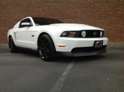 ford-mustang-generation:  2012 GT 5.0 Thanks for the submission man! Are those halo fog lights?